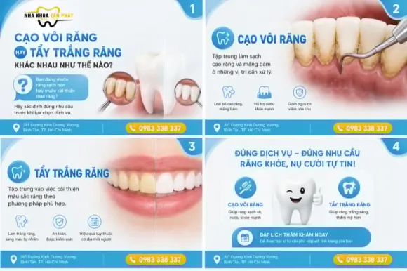 Tin tức