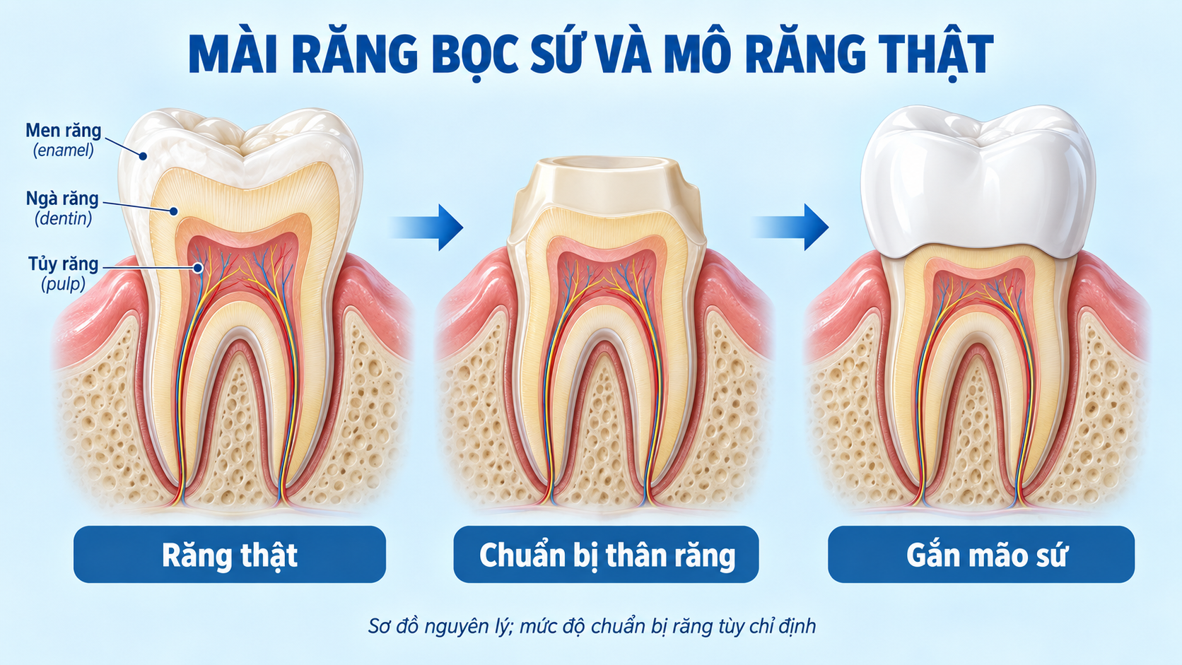 Tin tức